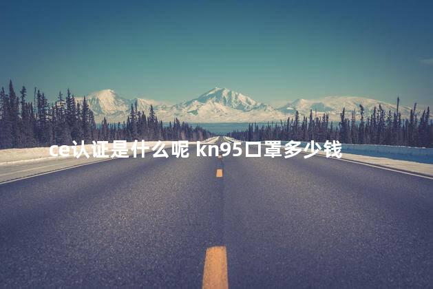 ce认证是什么呢 kn95口罩多少钱